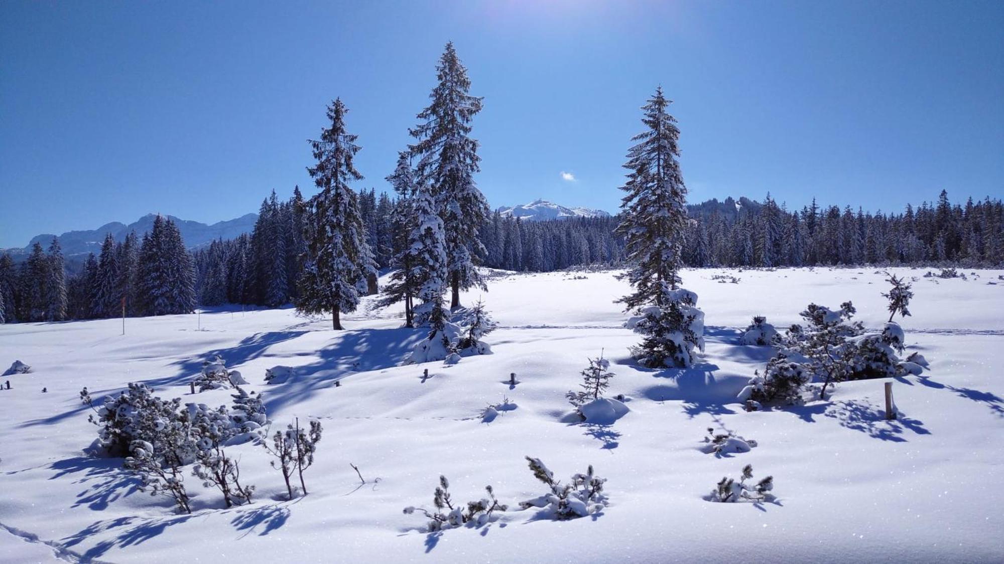 Wellnessoase Mit Sauna Und Whirlpool Inzell Luaran gambar