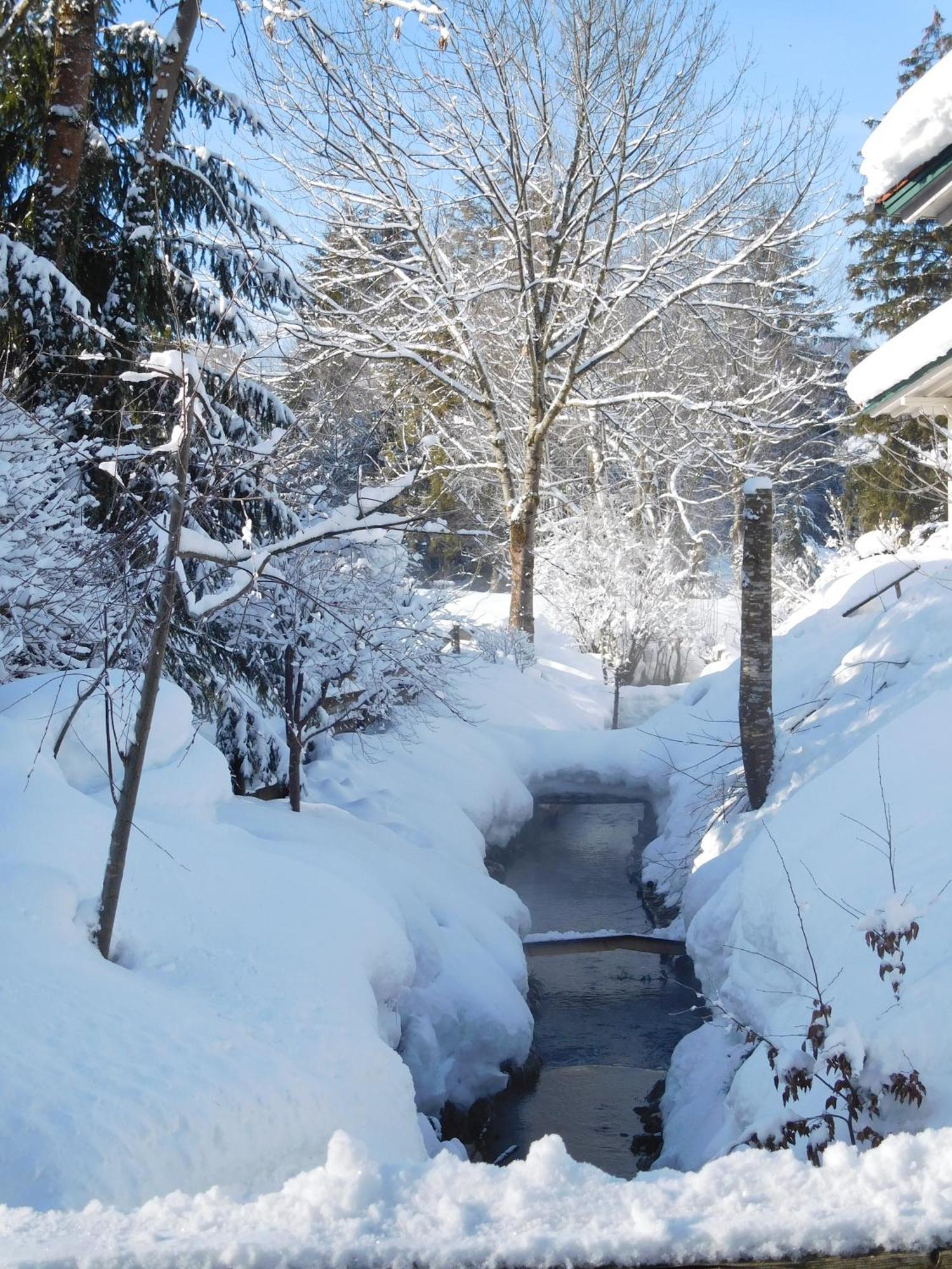 Wellnessoase Mit Sauna Und Whirlpool Inzell Luaran gambar